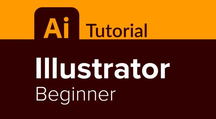 Introduction to Adobe Illustrator: A Beginner’s Guide