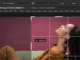 How to Crop, Resize, and Rotate Images in Photoshop