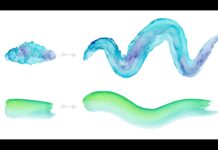 How to Create Watercolor Effects in Illustrator
