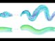 How to Create Watercolor Effects in Illustrator